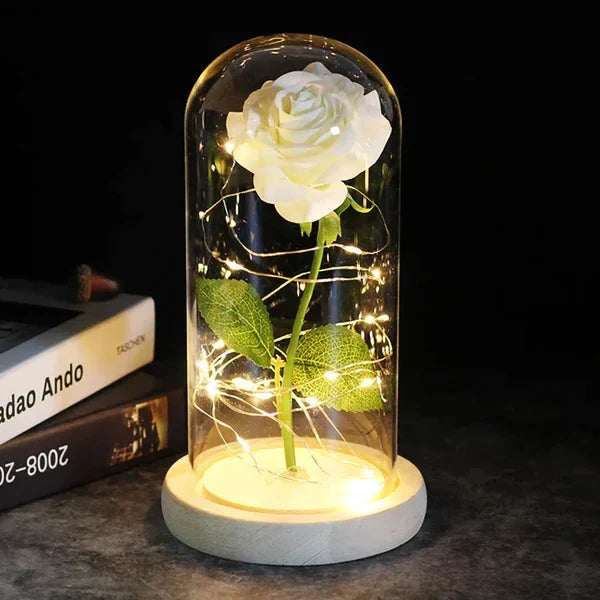 Preserved Real Rose with LED Dome Display and Battery Base