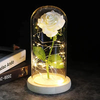 Preserved Real Rose with LED Dome Display and Battery Base