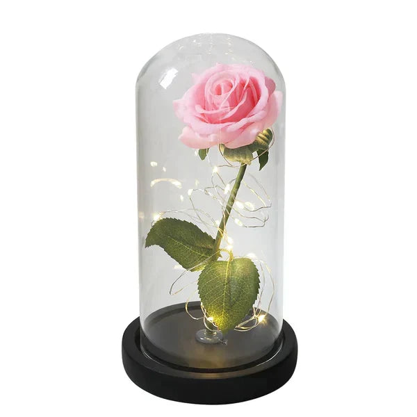 Preserved Real Rose with LED Dome Display and Battery Base